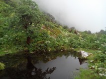 Khopra Danda, 3660m